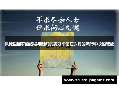 佩德里回家的旅程与时间的美好印记在岁月的流转中永恒绽放 佩德里回家的旅程与时间的美好印记在岁月的流转中永恒绽放