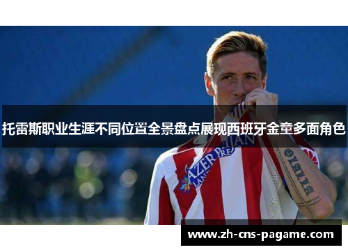 托雷斯职业生涯不同位置全景盘点展现西班牙金童多面角色 托雷斯职业生涯不同位置全景盘点展现西班牙金童多面角色