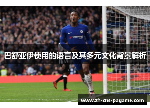 巴舒亚伊使用的语言及其多元文化背景解析 巴舒亚伊使用的语言及其多元文化背景解析