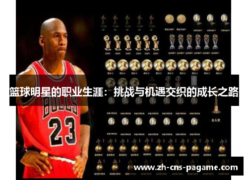 篮球明星的职业生涯:挑战与机遇交织的成长之路 篮球明星的职业生涯:挑战与机遇交织的成长之路
