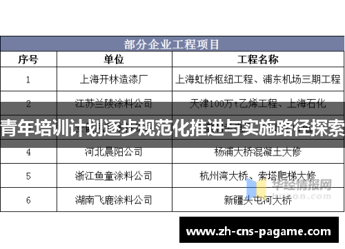 青年培训计划逐步规范化推进与实施路径探索